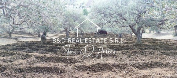  Land in Bagheria, Italy No. 325436 7