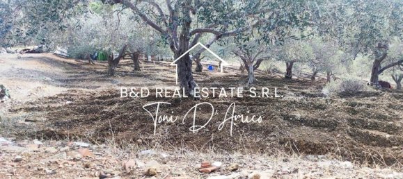  Land in Bagheria, Italy No. 325436 2