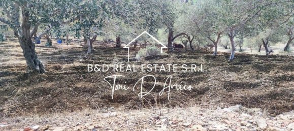  Land in Bagheria, Italy No. 325436 3