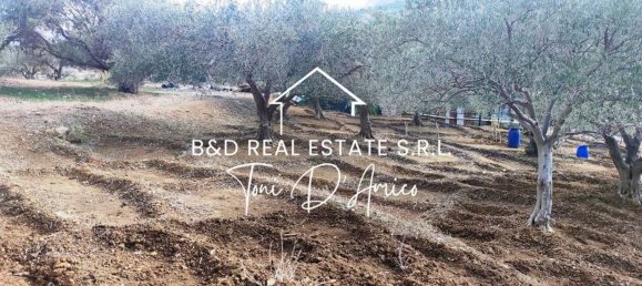  Land in Bagheria, Italy No. 325436 4