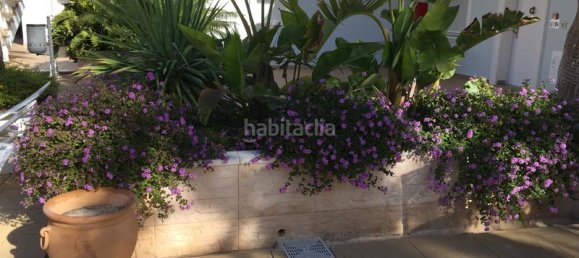 Квартира с 2 спальнями в Бенисса, Испания № 76741 18