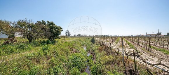 9 غرف نوم منزل في Palmela, Portugal رقم 68411 46