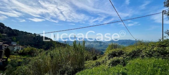 4 bedrooms House in Camaiore, Italy No. 81734 30