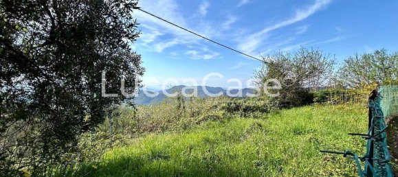 4 bedrooms House in Camaiore, Italy No. 81734 28