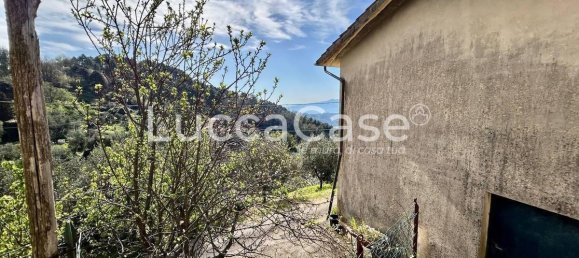 4 bedrooms House in Camaiore, Italy No. 81734 7