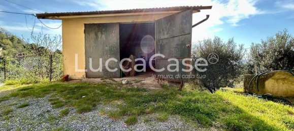 4 bedrooms House in Camaiore, Italy No. 81734 13