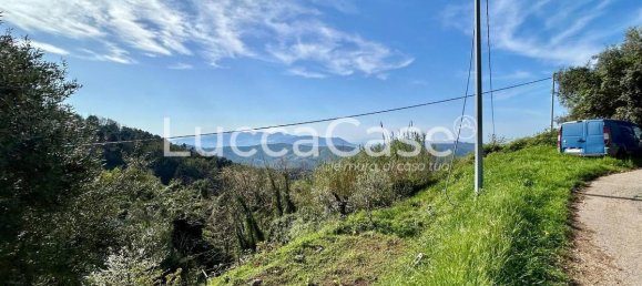 4 bedrooms House in Camaiore, Italy No. 81734 9