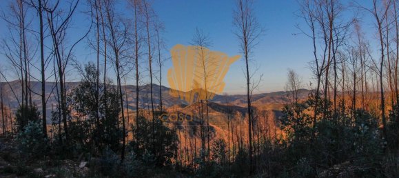  قطعة أرض في Silves, Portugal 150متر مربع رقم 36878 2