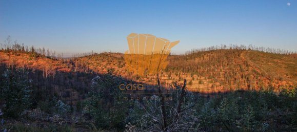  قطعة أرض في Silves, Portugal 150متر مربع رقم 36878 9