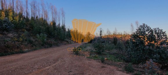  قطعة أرض في Silves, Portugal 150متر مربع رقم 36878 8