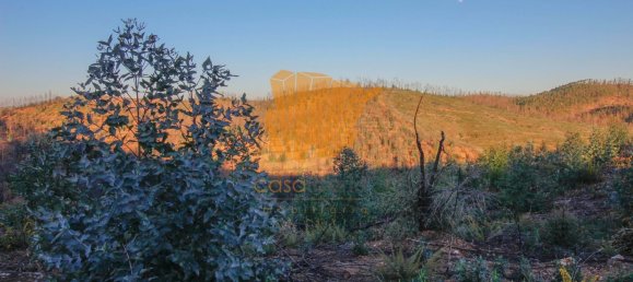  قطعة أرض في Silves, Portugal 150متر مربع رقم 36878 11