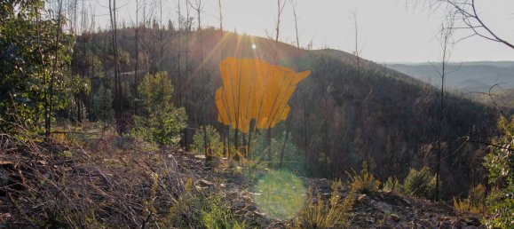  قطعة أرض في Silves, Portugal 150متر مربع رقم 36878 14