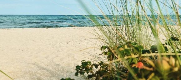 Moradia em banda T2 em Schleswig-Flensburg, Germany N.º 341896 16