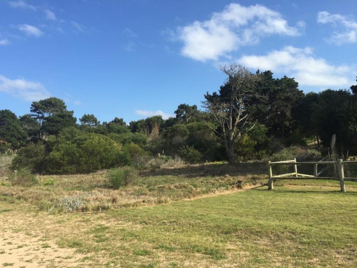 Terrain à Maldonado, Uruguay No. 15180