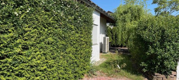 2 غرف نوم بنغالو في Alzey-Worms, Germany رقم 320895 2