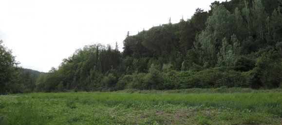 8 rooms House in Palaia, Italy No. 235959 12