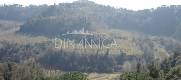 8 rooms House in Palaia, Italy No. 235959 9