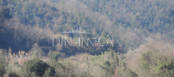 8 rooms House in Palaia, Italy No. 235959 13