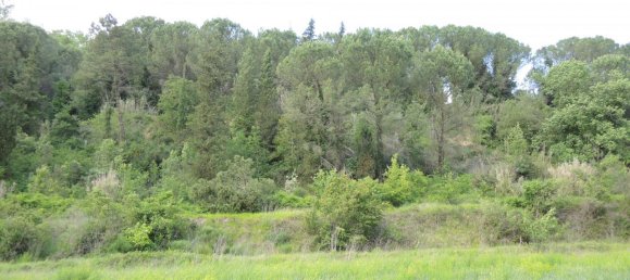 8 rooms House in Palaia, Italy No. 235959 20