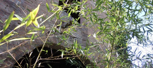 8 rooms House in Palaia, Italy No. 235959 16