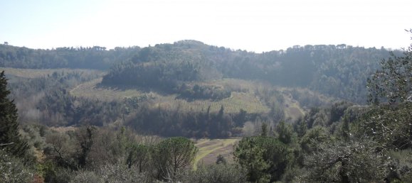 8 rooms House in Palaia, Italy No. 235959 4