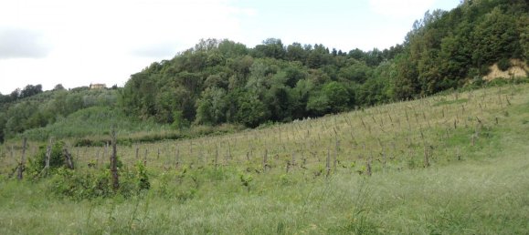 8 rooms House in Palaia, Italy No. 235959 21