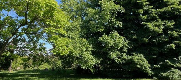 9 Schlafzimmer Villa in Sarzana, Italy, Nr. 326633 25