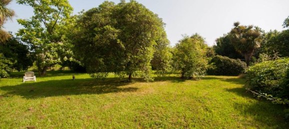 9 Schlafzimmer Villa in Sarzana, Italy, Nr. 326633 5