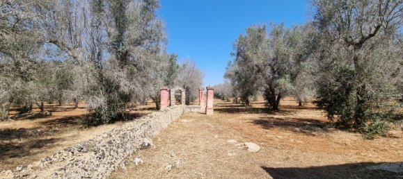 4 bedrooms House in Squinzano, Italy No. 140718 17