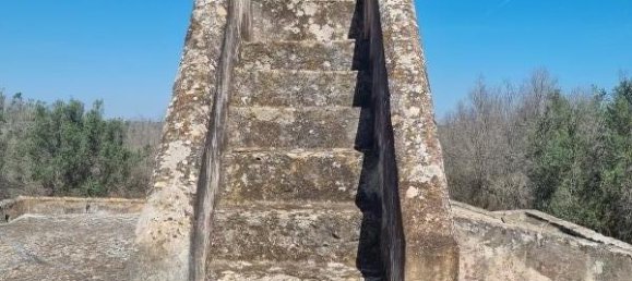 4 bedrooms House in Squinzano, Italy No. 140718 8