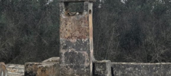 4 bedrooms House in Squinzano, Italy No. 140718 23