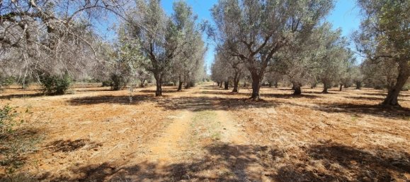 4 bedrooms House in Squinzano, Italy No. 140718 20