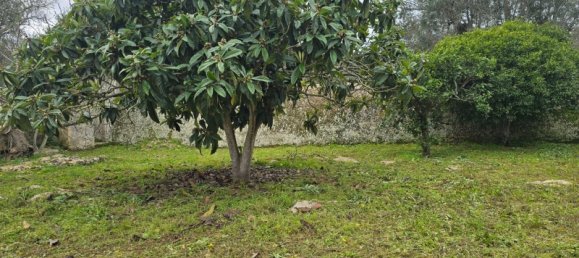 4 bedrooms House in Squinzano, Italy No. 140718 34