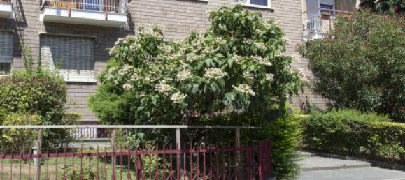 2 Schlafzimmer Wohnung in Turin, Italy, Nr. 266091 31