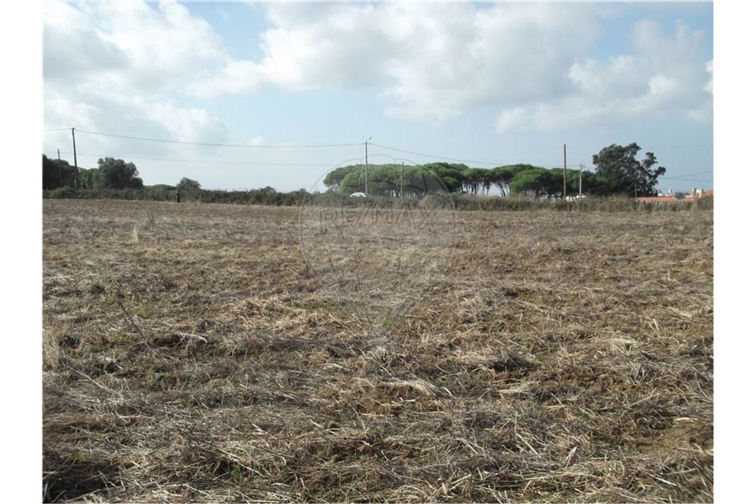 50000m² Land in Sintra, Portugal No. 64012