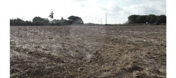 50000m² Land in Sintra, Portugal No. 64012 11