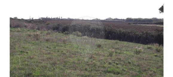 50000m² Land in Sintra, Portugal No. 64012 12