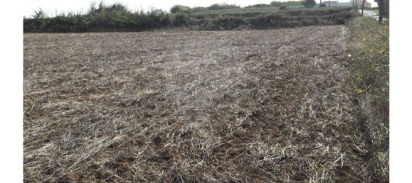 50000m² Land in Sintra, Portugal No. 64012 6