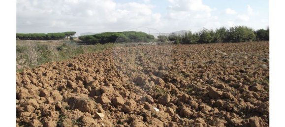 50000m² Land in Sintra, Portugal No. 64012 9