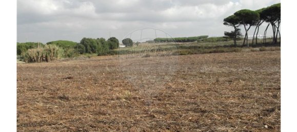 50000m² Land in Sintra, Portugal No. 64012 3