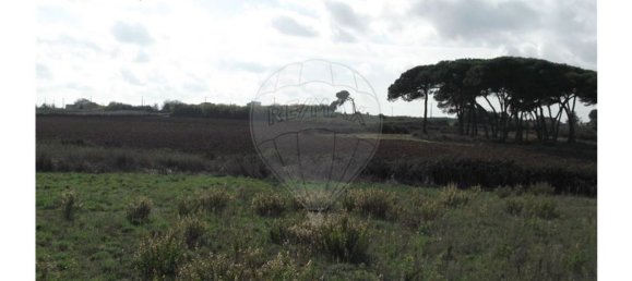 50000m² Land in Sintra, Portugal No. 64012 10