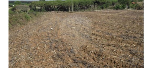 50000m² Land in Sintra, Portugal No. 64012 7