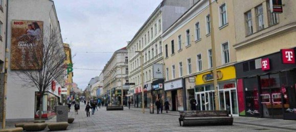 Коммерческая недвижимость 98м² в Майдлинг, Австрия № 255102 8