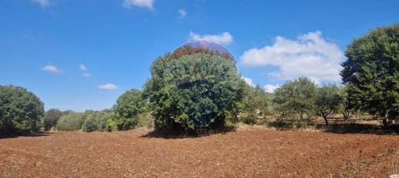 Земельный участок в Монополи, Италия № 119801 6