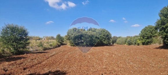 Земельный участок в Монополи, Италия № 119801 3