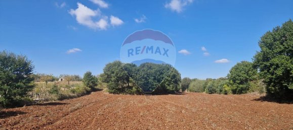 Земельный участок в Монополи, Италия № 119801 5