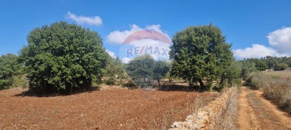 Земельный участок в Монополи, Италия № 119801 4