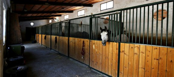 9 bedrooms Villa in Frigiliana, Spain No. 54207 30