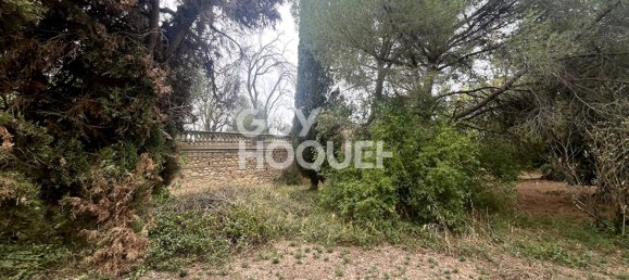 1 bedroom House in Villeneuve-de-la-Raho, France No. 349606 5