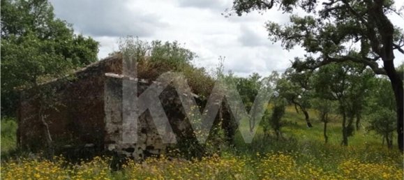 Земельный участок 54250м² в Сантиагу ду Касен, Португалия № 59890 17